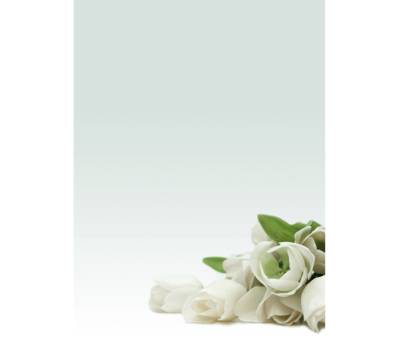 Carta con stampa rosa bianca A4 - 90 gr confezione 20 fogli - 10198