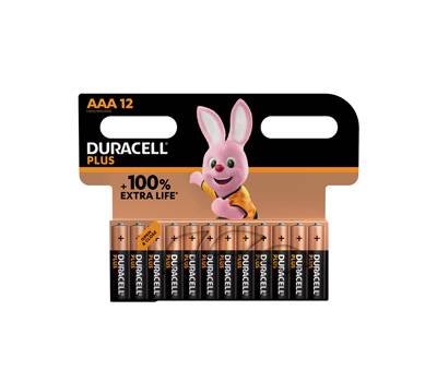 Blister 12 pile MiniStilo AAA - Plus 100 - Duracell - DU0221 - DMwebShop
