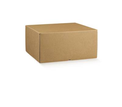Scatola box per asporto linea Marmotta - 30 x 40 x 19,5 cm - avana - conf. 2 pezzi - Scotton - 38530C - 8007402385300 - DMwebShop