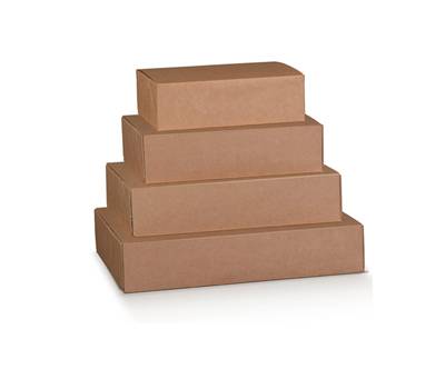 Scatola box per asporto linea Boite - 40 x 32 x 12 cm - avana - conf. 10 pezzi - Scotton - 38675C - 91083A - DMwebShop