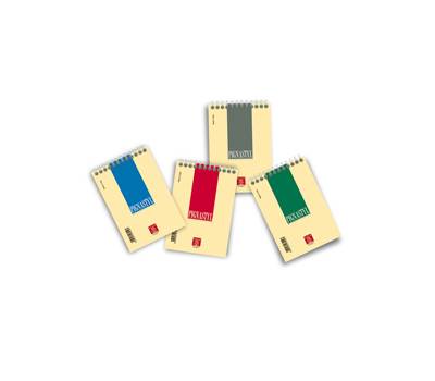 Blocco conf. 10 pezzi - Pignastyl spiralato - 5 mm - A6 - 80 gr - 60 fogli - Pigna - 02156255M - 8005235079427 - DMwebShop