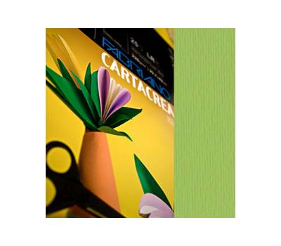 Cartoncino CartaCrea - 35 x 50 cm - 220 gr - verde pisello - blister 10 fogli - Fabriano - 46435110 - 8001348127635 - DMwebShop