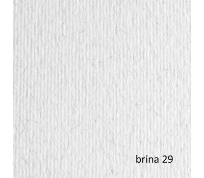 Cartoncino Elle Erre - 50 x 70 cm - 220 gr - brina 29 - blister 20 fogli - Fabriano - 42450729 - 8001348146612 - DMwebShop