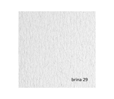 Cartoncino Elle Erre - 50 x 70 cm - 220 gr - brina 29 - blister 20 fogli - Fabriano - 42450729 - 8001348146612 - DMwebShop