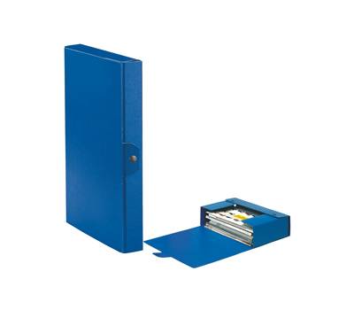 Scatola progetto Eurobox - dorso 4 cm - 25 x 35 cm - blu - conf. 5 pezzi - Esselte - 390324050 - 8004157324059 - DMwebShop