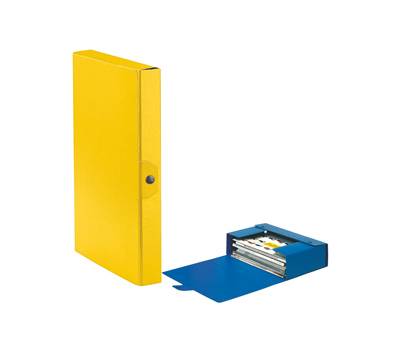 Scatola progetto Eurobox - dorso 4 cm - 25 x 35 cm - giallo - conf. 5 pezzi - Esselte - 390324090 - 8004157324097 - DMwebShop