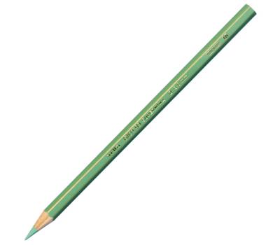 Pastello Supermina - mina 3,8 mm - verde salvia 16 - conf. 12 pezzi - Giotto - 23901600 - 8000825237164 - DMwebShop