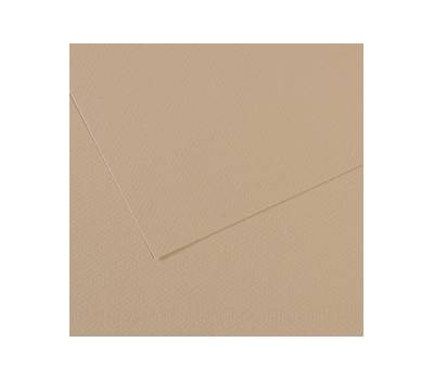 Foglio Mi-Teintes - A4 - 160 gr - grigio trianon - conf. 25 pezzi - Canson - C31032S014 - 92883A - DMwebShop