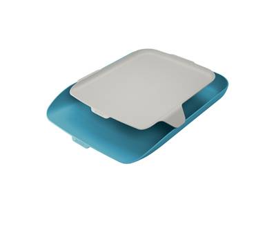 Vaschetta portacorrispondenza con vassoio organizer Cosy - blu - Leitz - 52590061 - 4002432124824 - DMwebShop
