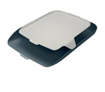 Vaschetta portacorrispondenza con vassoio organizer Cosy - blu - Leitz - 52590089 - 4002432124831 - DMwebShop