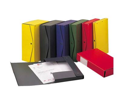 Scatola archivio Project - dorso 15 cm - 25 x 35 cm - grigio scuro - conf. 5 pezzi - Esselte - 00025008 - 8004389030315 - DMwebShop
