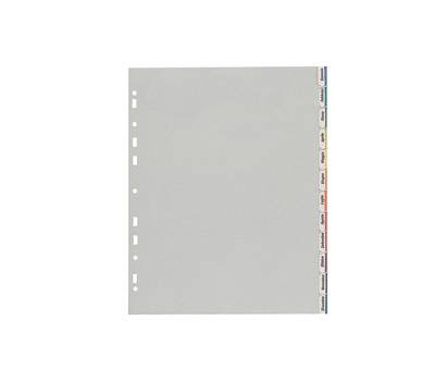 Separatore - 12 tacche personalizzabili - PP - 22 x 30 cm - grigio - Favorit - 400006688 - 8006779056202 - DMwebShop