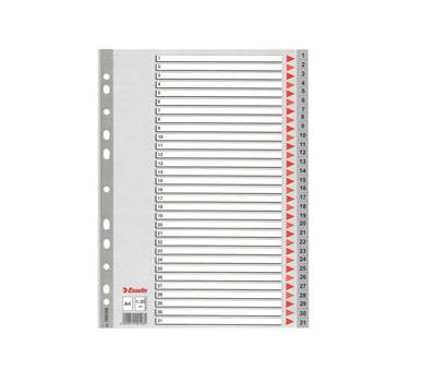 Separatore numerico 1/31 - PPL - A4 - grigio - Esselte - 100108 - 5902812001082 - DMwebShop