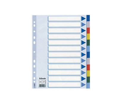 Separatore - 12 tasti colorati - PPL - A4 - multicolore - Esselte - 15262 - 5902812152623 - DMwebShop