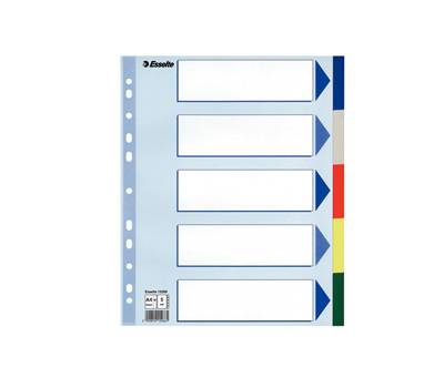 Separatore - 5 tasti colorati - PP - A4 maxi - 24,5 x 29,7 cm - multicolore - Esselte - 15266 - 5902812152661 - DMwebShop