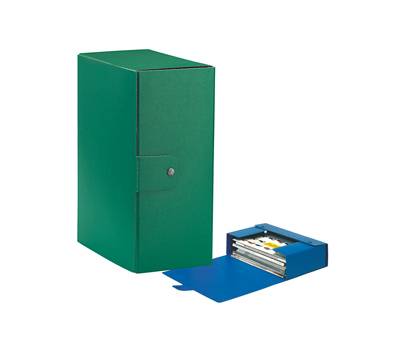 Scatola progetto Eurobox - dorso 15 cm - 25 x 35 cm - verde - conf. 5 pezzi - Esselte - 390335180 - 8004157335185 - DMwebShop