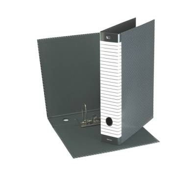 Registratore Delso Line G12 - dorso 5 cm - commerciale - 23 x 30 cm - grigio - Esselte - 390712060 - 8004157712061 - DMwebShop