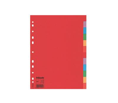 Separatore Economy - 12 tasti - cartoncino colorato 160 gr - A4 - multicolore - Esselte - 100202 - 5902812002027 - DMwebShop