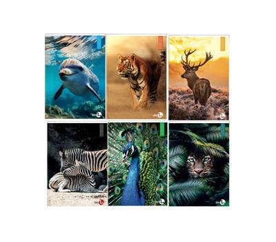 Maxiquaderno Animal fantasia A4,40,2 fogli 80 gr 10 mm - 25401