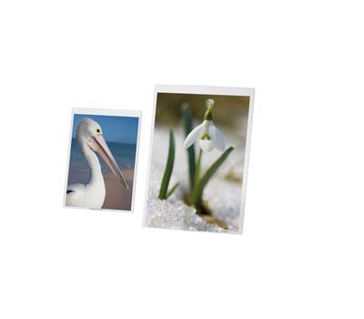 Portadepliant - A3 - PVC semirigido - Lebez - 5253 - 8007509052532 - DMwebShop