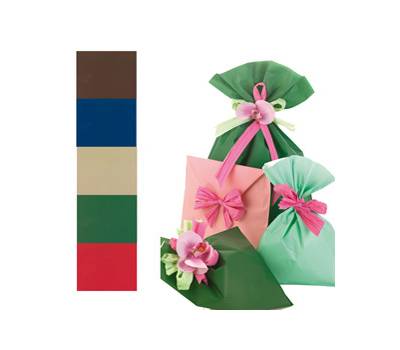 Buste regalo Mat Pearly A in PPL assortimento 5 colori classici - 35 x 50 cm - conf. 100 buste - PNP - UD805PRR A 35X50 - 8013170540247 - DMwebShop