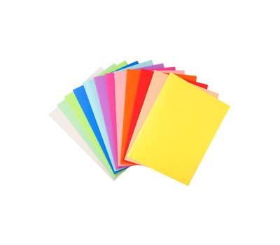 Cartelline semplici Forever - 220 gr - 24 x 32 cm - mix 10 colori - conf. 100 pezzi - Exacompta - 410000E - 3288584100003 - DMwebShop