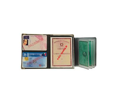 Portadocumenti - multicard special - PVC - colori assortiti - conf. 24 pezzi - Alplast - 1060S - 8015915410600 - DMwebShop