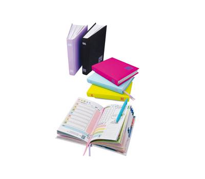 Diario femminile - 12 mesi - copertina soft touch - colori assortiti - conf. 6 pezzi - Blasetti - 8014 - 8007758180147 - DMwebShop