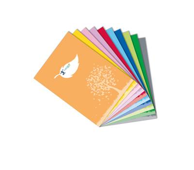 Coprimaxi Green con tasche 21 x 30 cm carta 120 gr verde chiaro - 26519