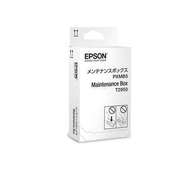Kit di Manutenzione - T2950 - Epson - C13T295000 - 4988617199897 - DMwebShop