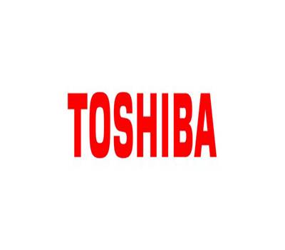 Toner - magenta - 33600 pagine - Toshiba - 6AJ00000261 - 4519232193511 - DMwebShop