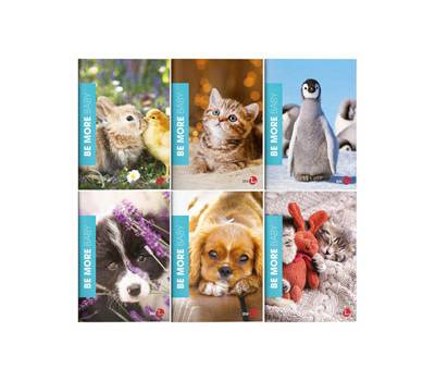 Maxiquaderno Baby be more special - A4 - 36+2 fogli - 100 gr - rigo di 1a - conf. 10 pezzi - BM - 0120570 - DMwebShop