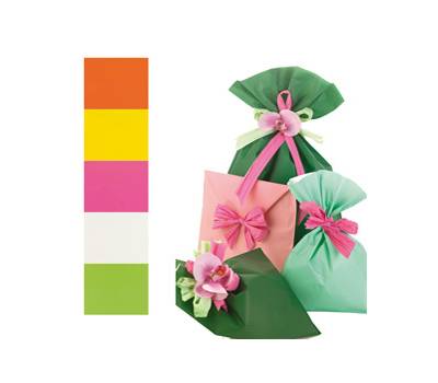 Buste regalo Mat Pearly B in PPL - assortimento 5 colori - 40 x 65 cm - conf. 50 buste - PNP - UD805PRR B 40X65 - 8013170540308 - DMwebShop