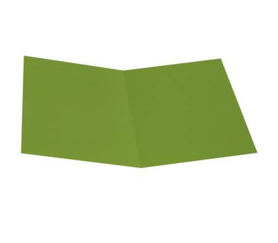 Cartellina semplice - 200 gr - cartoncino bristol - verde nilo - conf. 50 pezzi - Starline - OD0113BLXXXAJ18 - 8025133123503 - DMwebShop