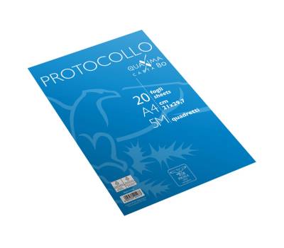Fogli protocollo - A4 - 5 mm - 80 gr - conf. 20 pezzi - Pigna - 02322645M - 8005235204973 - DMwebShop