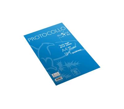 Fogli protocollo - A4 - 5 mm - 80 gr - conf. 20 pezzi - Pigna - 02322645M - 8005235204973 - DMwebShop