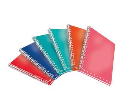 Maxiquaderno Monocromo A4,4 mm 70 fogli 80 gr senza fori microperforato - 29132