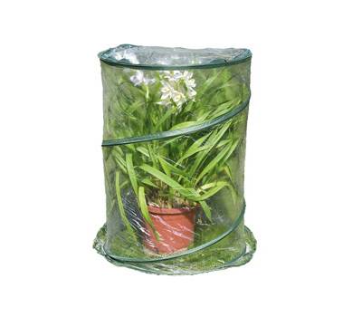 Serra Pop up Anthurium 70 x 100 cm trasparente - 29378