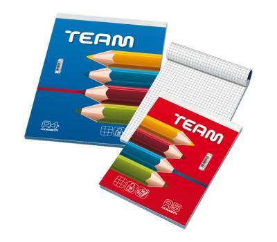 Blocco Note 210x297mm 5mm 50gr 60fg Team Blasetti - 1007 -  - DMwebShop