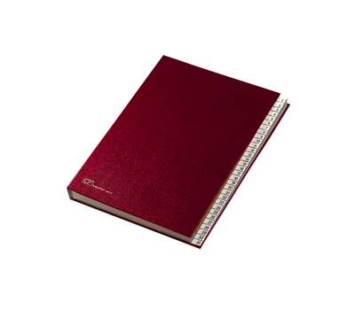 Classificatore numerico 1/31 - 643E - 24 x 34 cm - rosso - Fraschini - 643E-ROSSO - 8027032020013 - DMwebShop