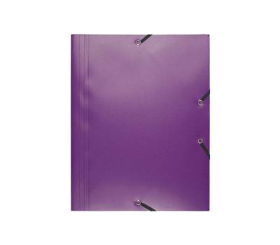 Cartellina 3 lembi - con elastici - PPL - 24 x 32 cm - viola - conf. 30 pezzi - Exacompta - 55918E - 3130630559184 - DMwebShop