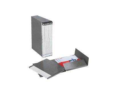 Gruppo Delso Line - 6 cartelle 2 lembi - con custodia - 25 x 32 cm - dorso 1,5 cm - grigio - Esselte - 390954040 - 8004157954041 - DMwebShop