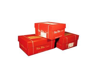 Carta in modulo continuo - 37,5 x 11" X2 - 53 gr - piste fisse - lettura facile - grigio - conf. 1000 fogli - Sabacart - S20375116010 - 8024828154655 - DMwebShop