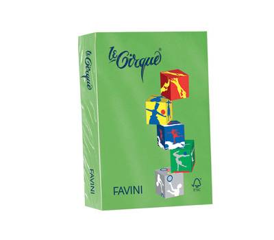 Carta Le Cirque - A4 - 160 gr - verde prato 203 - conf. 250 fogli - Favini - A74M304 - 8025478320797 - DMwebShop