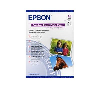 Carta fotografica lucida Premium - Epson - C13S041315 - 10343819788 - DMwebShop Carta fotografica lucida Premium - Epson - C13S041315 - 10343819788 - DMwebShop