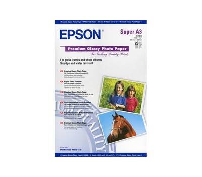 Carta fotografica lucida Premium - Epson - C13S041316 - 10343819795 - DMwebShop
