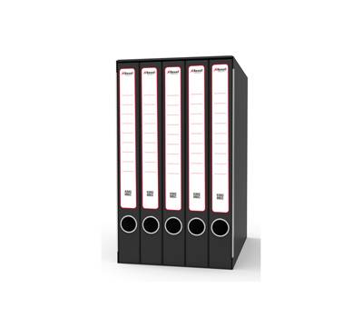 Gruppo registratori Quintetto - con 5 cartelle 3 lembi - 23 x 32 cm - dorso 23 cm - grigio - Rexel - King Mec - GKM5300 - 5028252505734 - DMwebShop