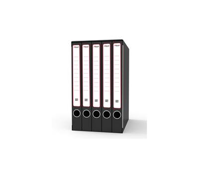 Gruppo registratori Quintetto - con 5 cartelle ad anelli - 23 x 32 cm - dorso 23 cm - grigio - Rexel - King Mec - GKM5200 - 5028252505741 - DMwebShop