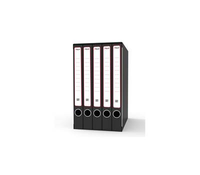 Gruppo registratori Sestetto - con 6 cartelle ad anelli - 25,5 x 34,5 cm - dorso 23 cm - grigio - Rexel - King Mec - GKM6200 - 5028252505765 - DMwebShop