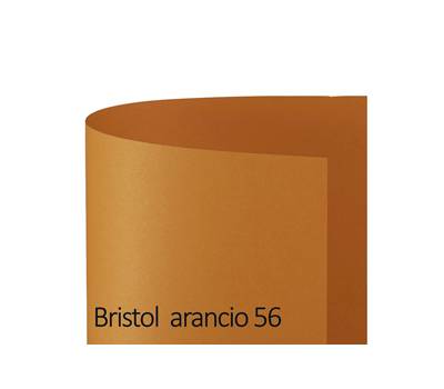 Cartoncino Bristol Color 50 x 70 cm 200 gr arancio 56 - 18568